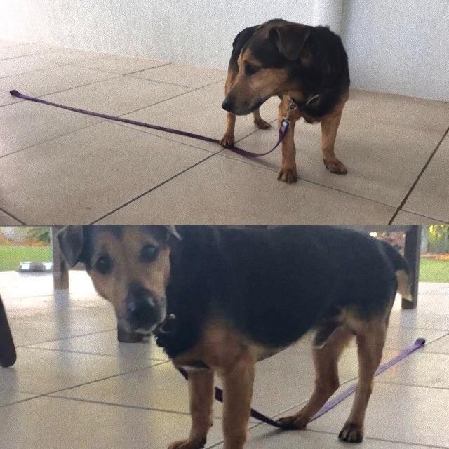 merg8dsvv5rz_e
