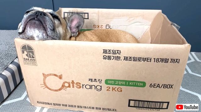 itfitsisits6_640