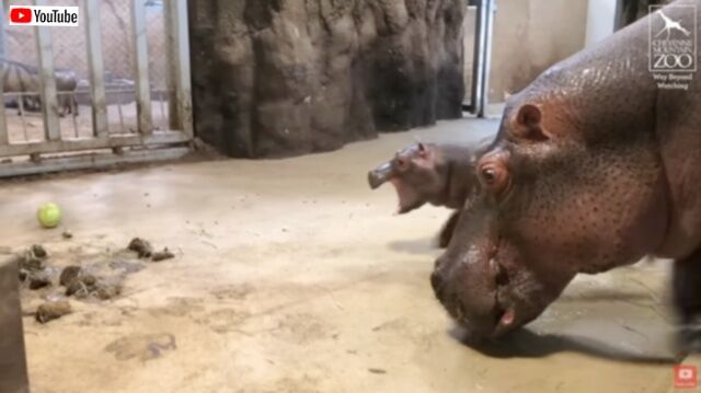 20230824_073453_batch