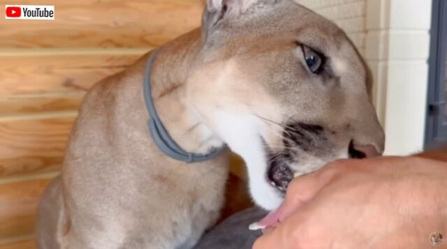 20230716_084819 (3)_batch