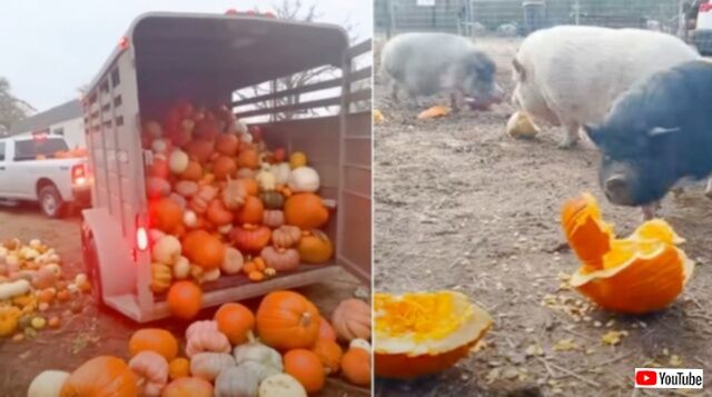 20231107_192806_batch