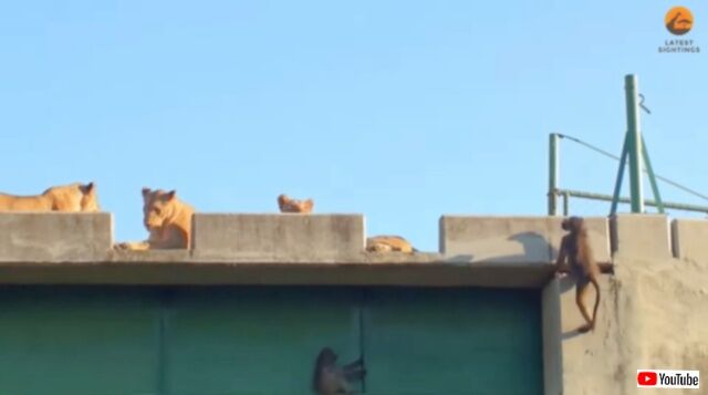 20230621_011824 (2)_batch