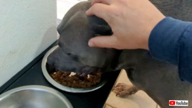 20231220_115932 (7)_batch