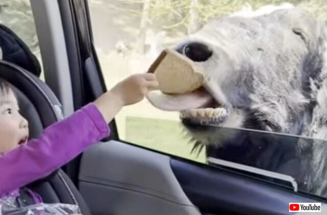 20220917_114340 (2)_batch