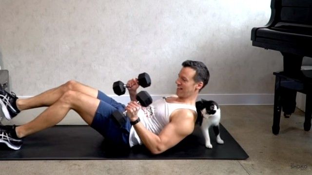 catsnexercise1_e