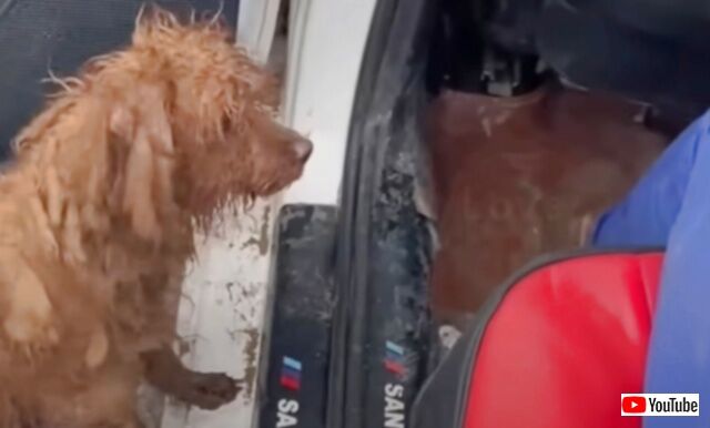 20240325_101142_batch