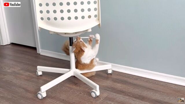 20221107_115900_batch