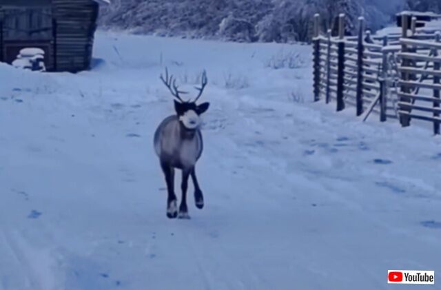 20231210_001729 (2)_batch