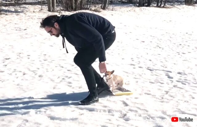sledding3_640