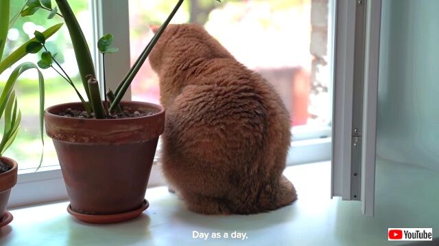 dayasaday1_640