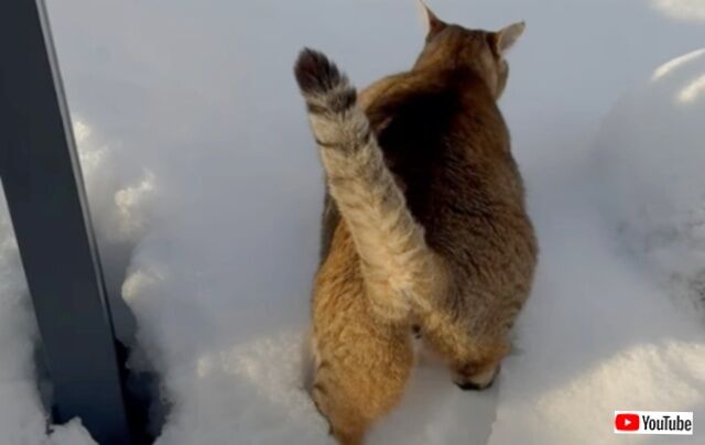 20231216_001256 (3)_batch