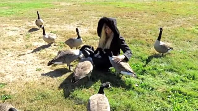 goslings8