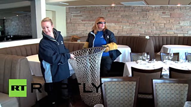 sealioninrestaurant4