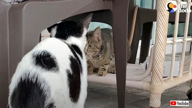 20230228_194454 (4)_batch