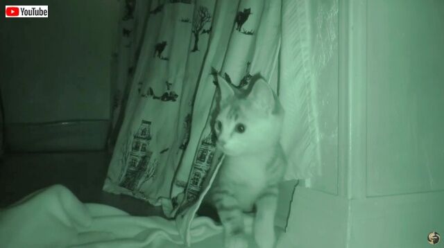 20221031_113206 (3)_batch