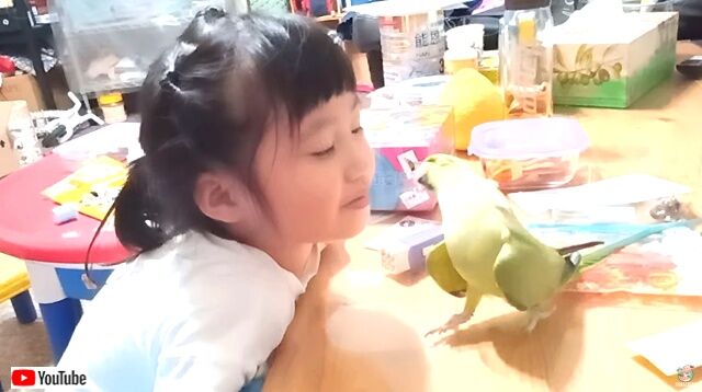 birdlusgirl2_640