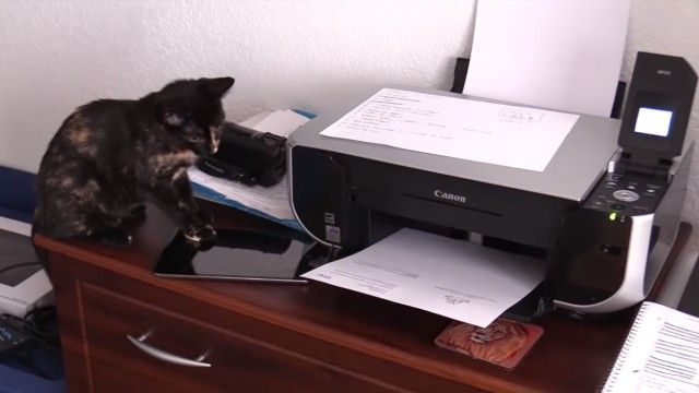 copycat3_e