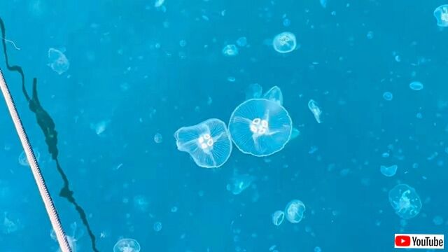 20230414_011954 (2)_batch