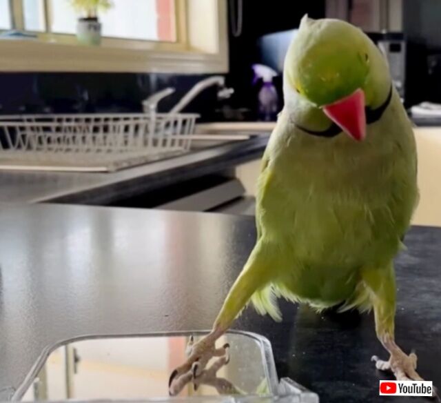 20230430_014832_batch