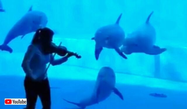 musiclovers1_640