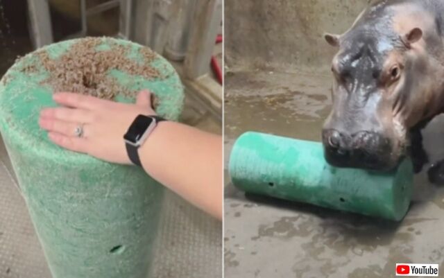 20240121_073649_batch