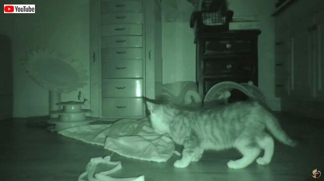 20221031_113205_batch