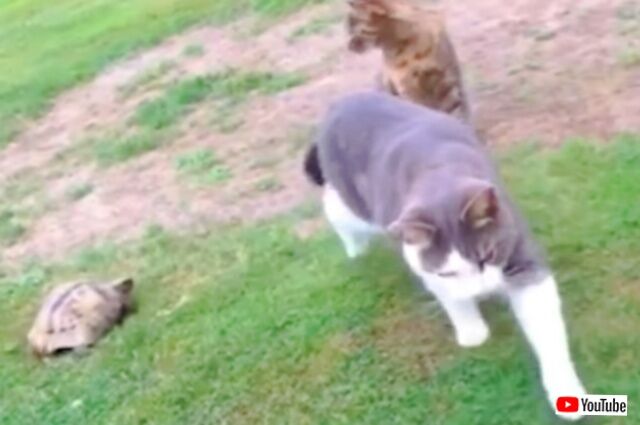 20240109_115041 (3)_batch