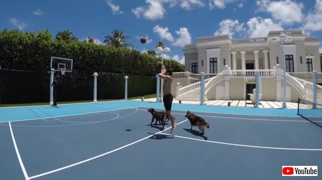 dogsnmansion5_640