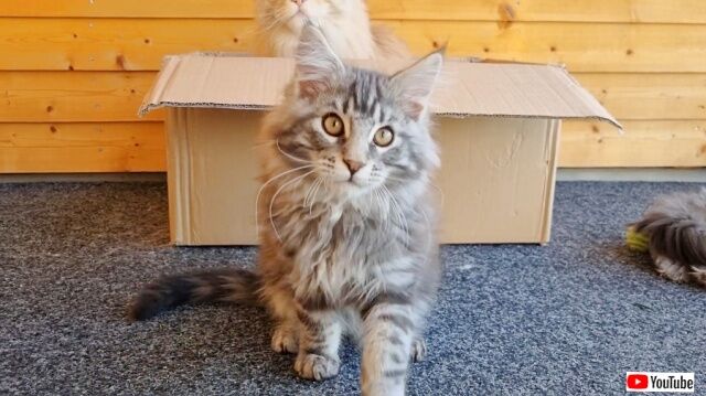 20230302_010119 (7)_batch