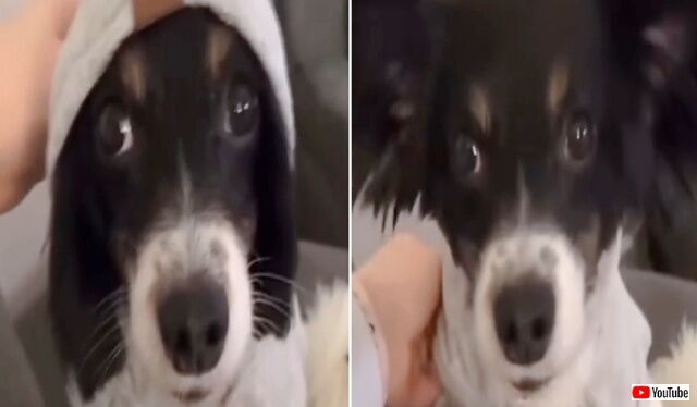 20221127_075539 (4)_batch