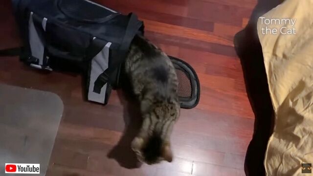 20230414_175243 (4)_batch