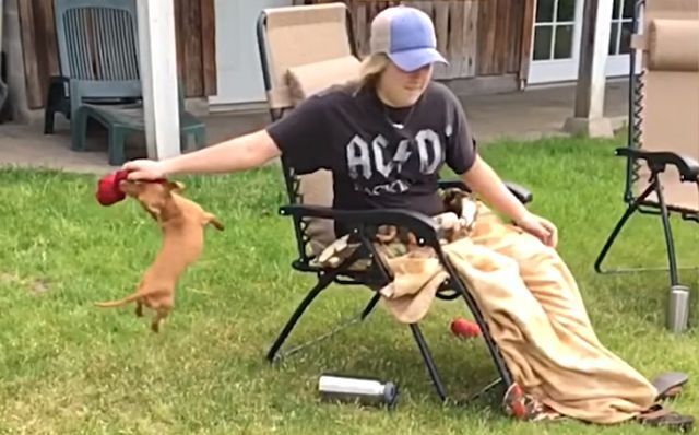 dogdaysofsummer0