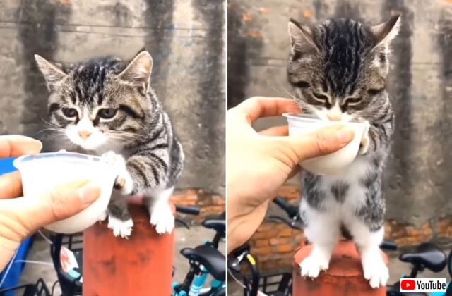 2022-09-23 19 08 25_640