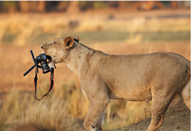 photographers9_e