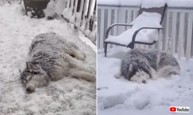 20231229_233442_batch