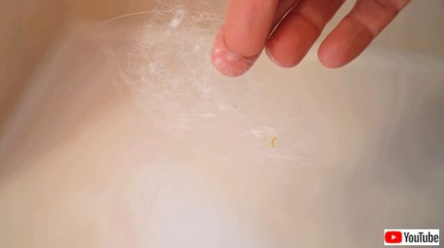 cleaning6_640
