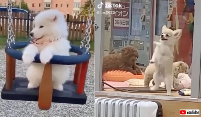 20220827_195305 (5)_batch