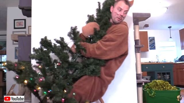 everycatxmas4_640