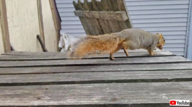 20231215_075959 (8)_batch