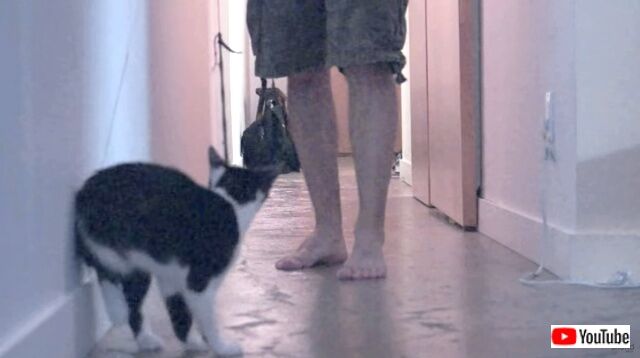 howtowalkurhuman9_640