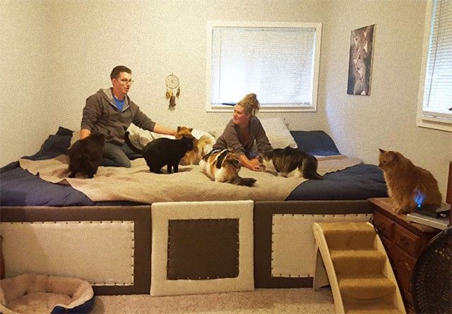 living-with-multiple-pets-50-59b9304c9ed5e__605_e