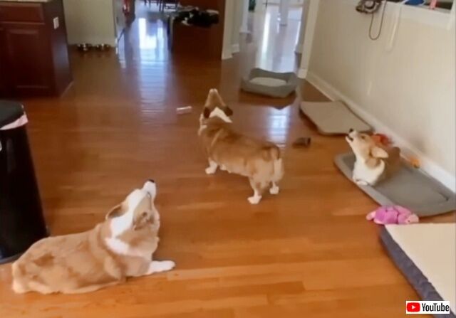 20230120_181442 (3)_batch