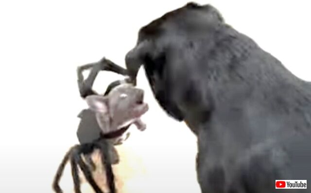 20221003_010805 (4)_batch