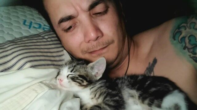 すやすや眠る子猫が愛くるしくて…。飼い主男性、子猫に枕を乗っ取られてしょんぼり自撮りに関する海外の反応