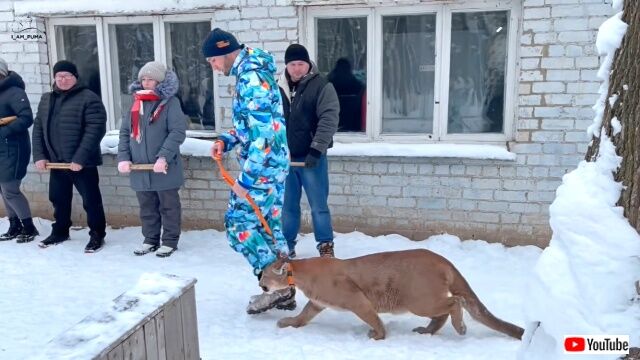 dogschool6_640