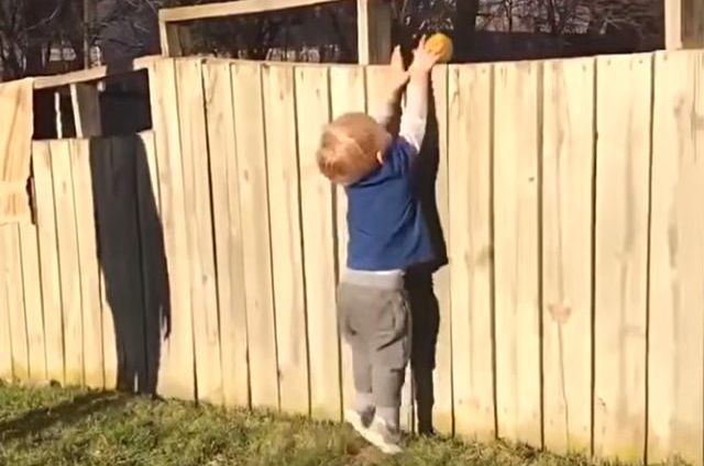 fetch3_e