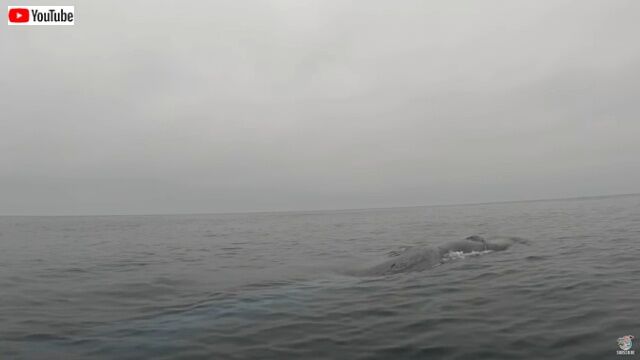 20220907_120529_batch