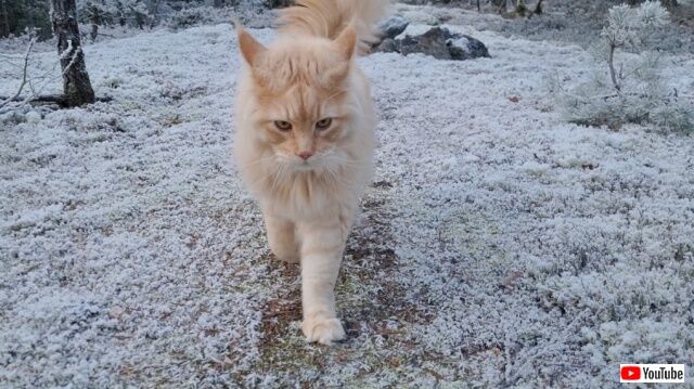 20221217_121539 (4)_batch