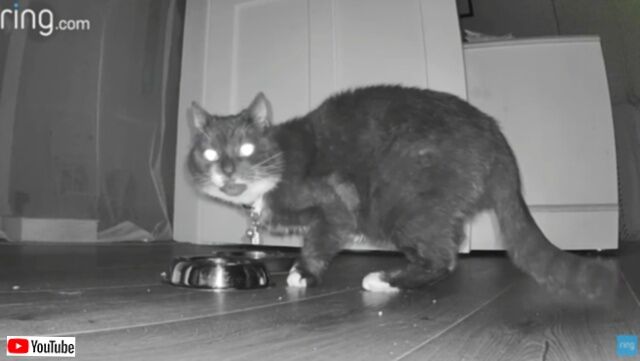 20230926_081914_batch