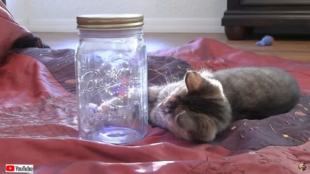 20230416_115456 (4)_batch